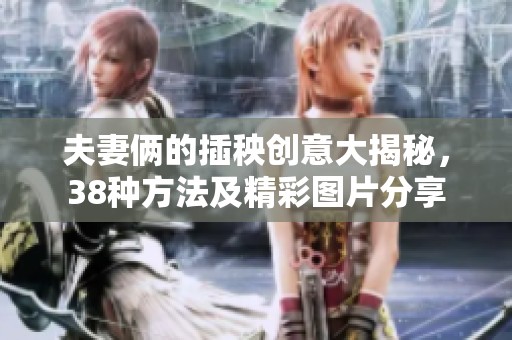 夫妻俩的插秧创意大揭秘，38种方法及精彩图片分享