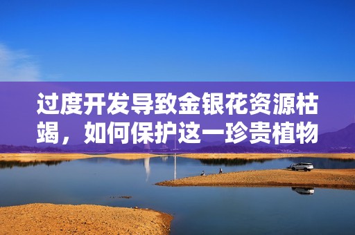 过度开发导致金银花资源枯竭，如何保护这一珍贵植物？