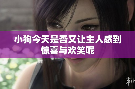 小狗今天是否又让主人感到惊喜与欢笑呢