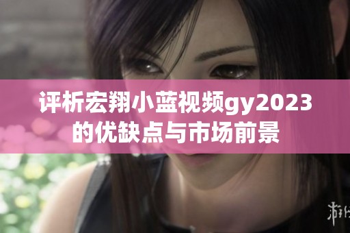 评析宏翔小蓝视频gy2023的优缺点与市场前景