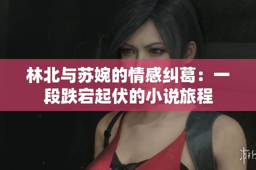 林北与苏婉的情感纠葛：一段跌宕起伏的小说旅程