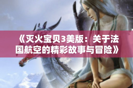 《灭火宝贝3美版：关于法国航空的精彩故事与冒险》