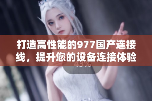 打造高性能的977国产连接线，提升您的设备连接体验