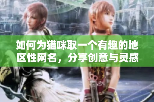 如何为猫咪取一个有趣的地区性网名，分享创意与灵感