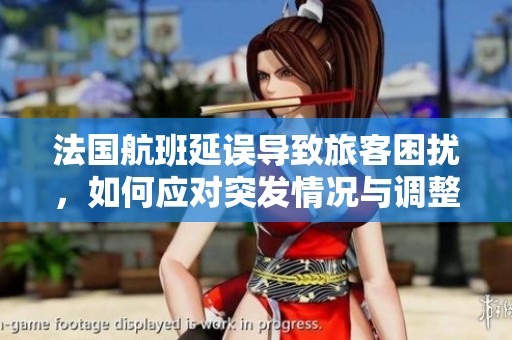 法国航班延误导致旅客困扰，如何应对突发情况与调整行程