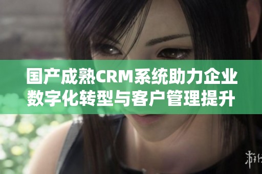 国产成熟CRM系统助力企业数字化转型与客户管理提升