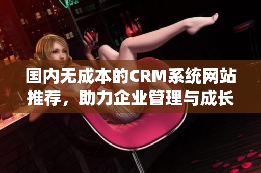 国内无成本的CRM系统网站推荐，助力企业管理与成长