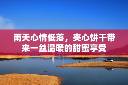 雨天心情低落，夹心饼干带来一丝温暖的甜蜜享受