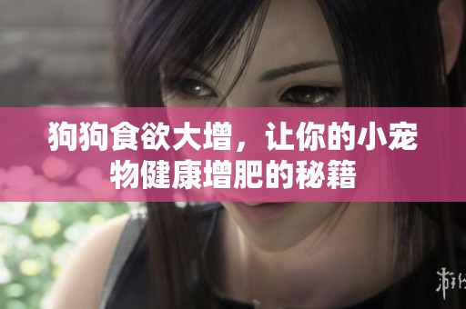 狗狗食欲大增，让你的小宠物健康增肥的秘籍