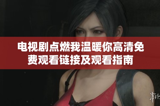 电视剧点燃我温暖你高清免费观看链接及观看指南