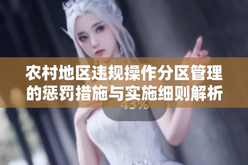 农村地区违规操作分区管理的惩罚措施与实施细则解析