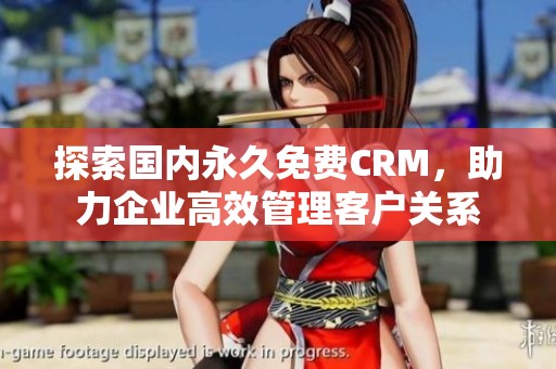 探索国内永久免费CRM，助力企业高效管理客户关系
