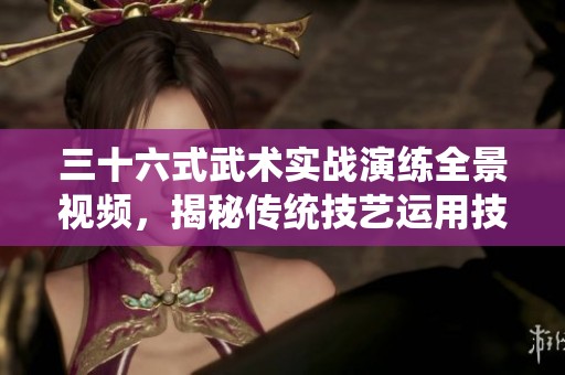 三十六式武术实战演练全景视频，揭秘传统技艺运用技巧