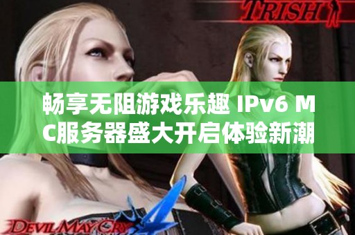 畅享无阻游戏乐趣 IPv6 MC服务器盛大开启体验新潮流