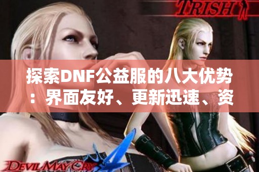 探索DNF公益服的八大优势：界面友好、更新迅速、资源多样化！