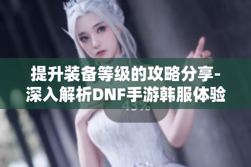 提升装备等级的攻略分享-深入解析DNF手游韩服体验