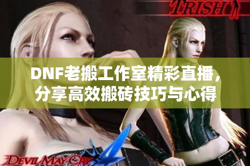 DNF老搬工作室精彩直播，分享高效搬砖技巧与心得