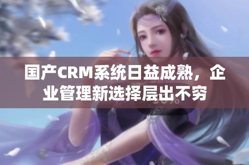 国产CRM系统日益成熟，企业管理新选择层出不穷