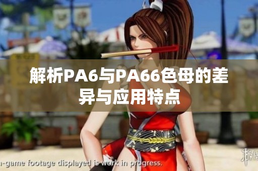 解析PA6与PA66色母的差异与应用特点