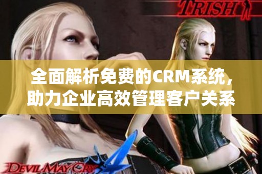 全面解析免费的CRM系统，助力企业高效管理客户关系