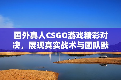 国外真人CSGO游戏精彩对决，展现真实战术与团队默契