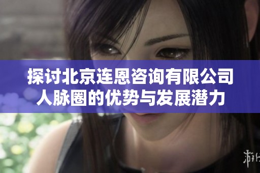 探讨北京连恩咨询有限公司人脉圈的优势与发展潜力