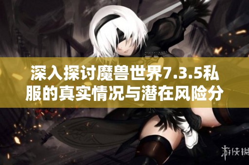深入探讨魔兽世界7.3.5私服的真实情况与潜在风险分析