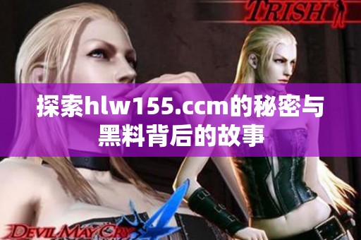 探索hlw155.ccm的秘密与黑料背后的故事