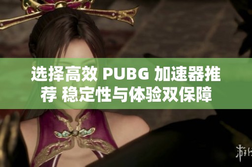 选择高效 PUBG 加速器推荐 稳定性与体验双保障