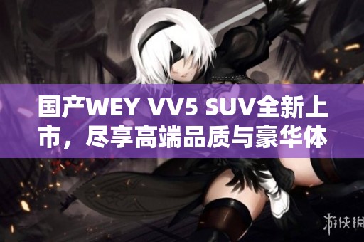 国产WEY VV5 SUV全新上市，尽享高端品质与豪华体验